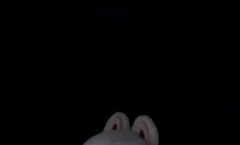 Best Cashback Rewards Credit Cards India 2025