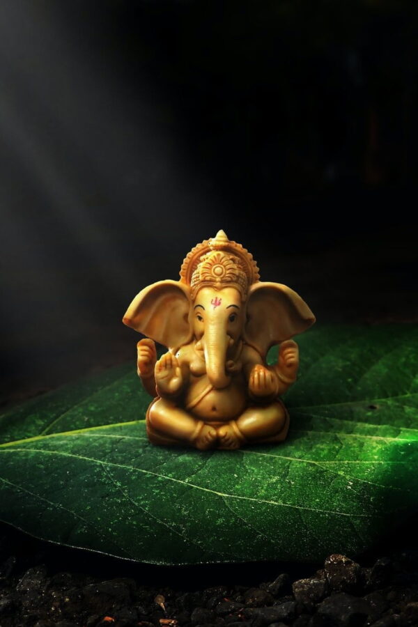 American Express Platinum Credit Cards Set for Major Upgrade in 2025